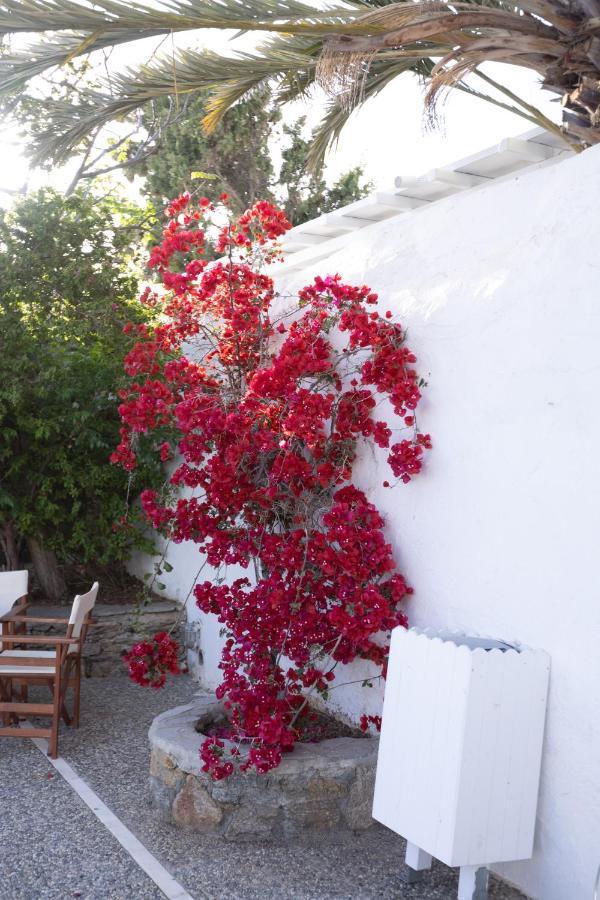 Petit Andromeda Mykonos I Aparthotel Mykonos Town ภายนอก รูปภาพ